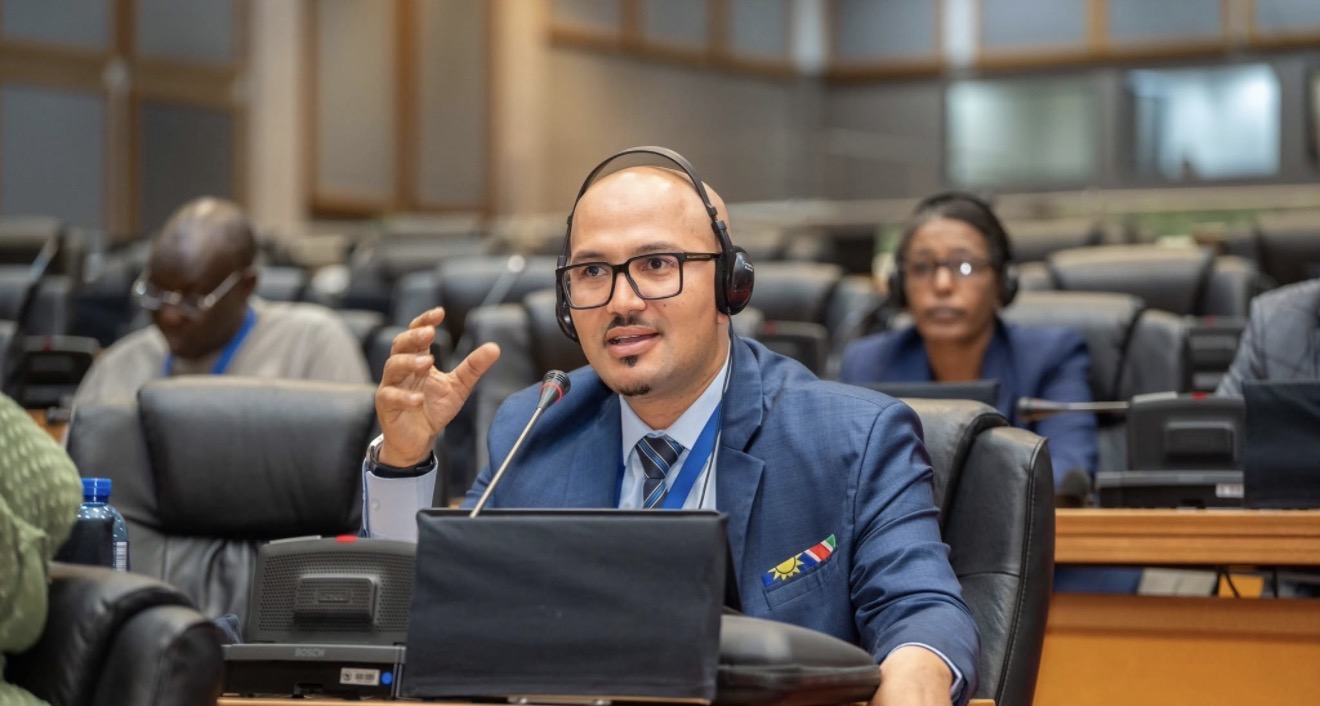Plenary contribution at the Pan-African Parliament