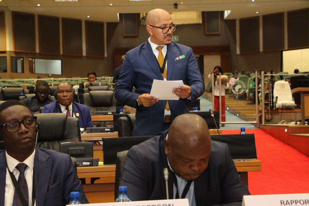 Hon. Rodney Cloete on his feet addressing the Pan-African Parliament during the Sudan debate