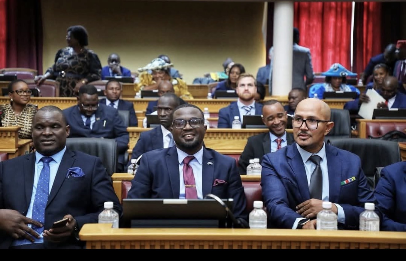 Speaking in Parliament